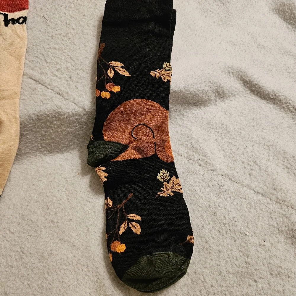 New Set Of Three Fall Squirrel Themed Socks